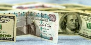 بعد التراجع الصباحي، الدولار يستعيد عافيته من جديد أمام الجنيه